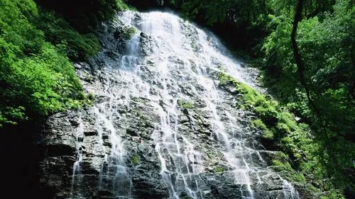 电子高性能高端